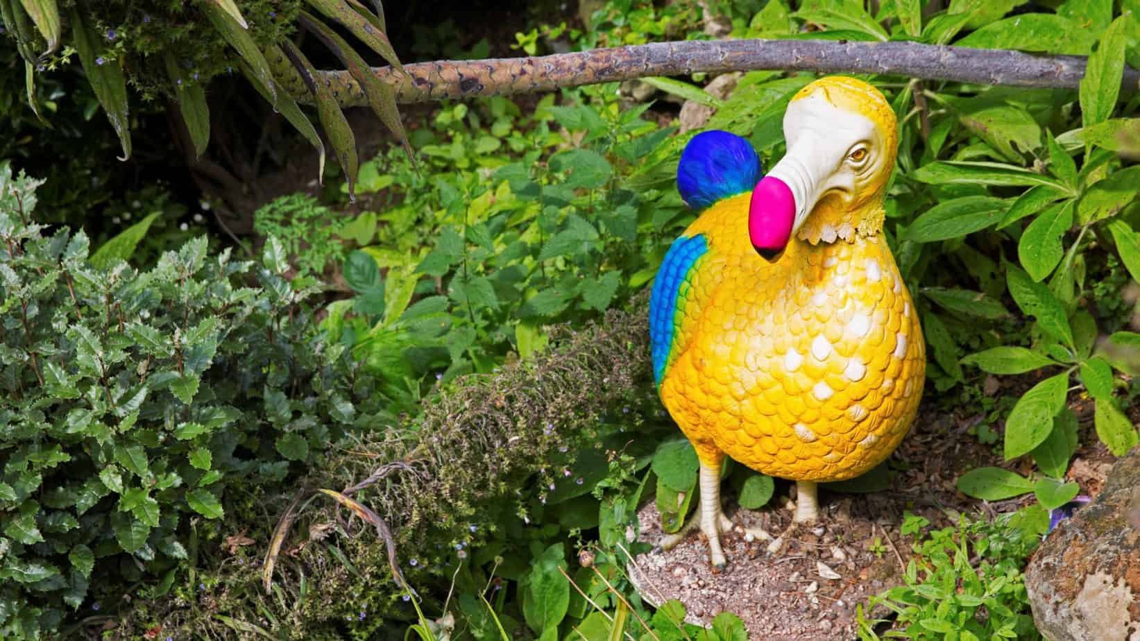 Dodo Valley