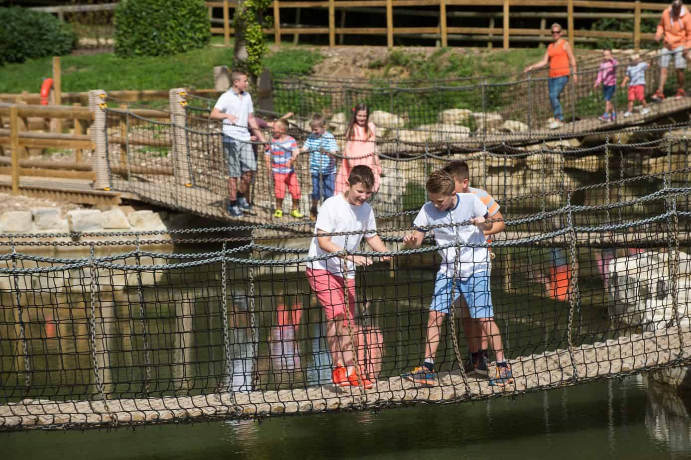 Suspension bridge