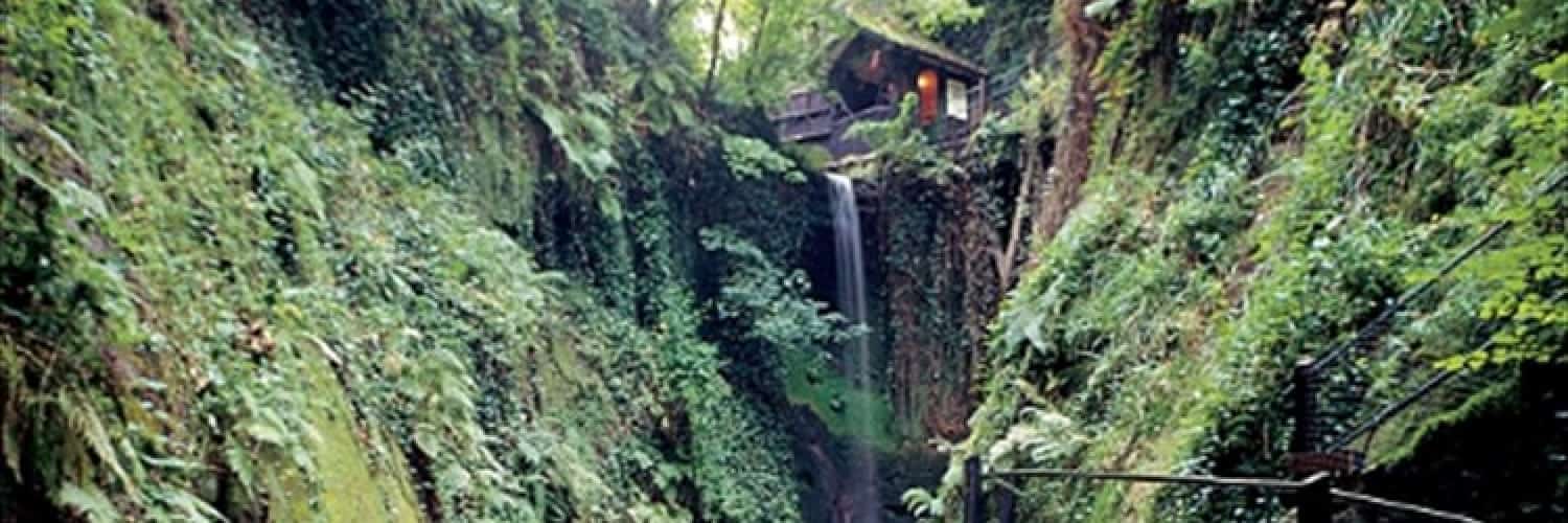 shanklin chine